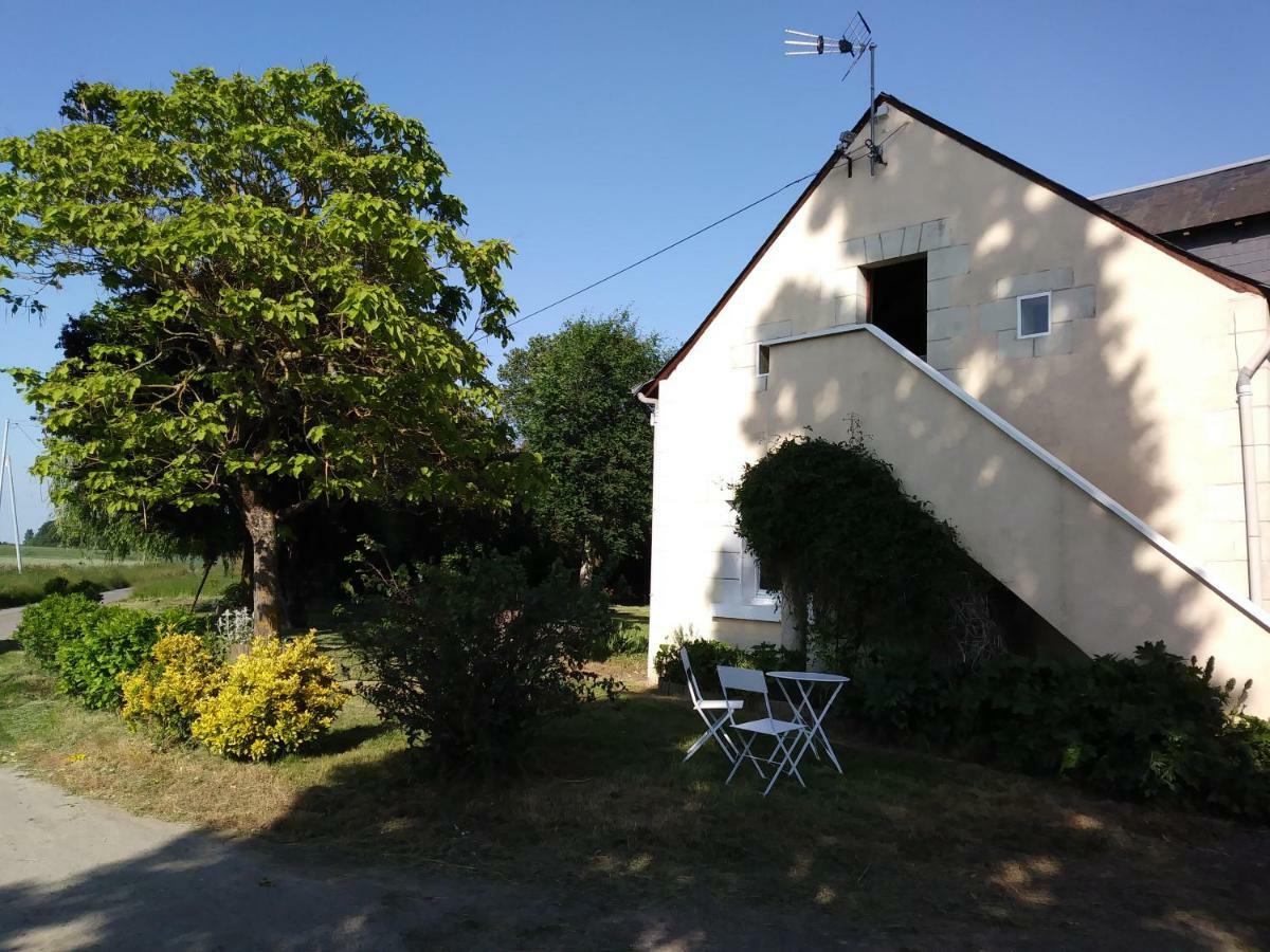 Les Hautes Mougonnieres Neuil Екстериор снимка